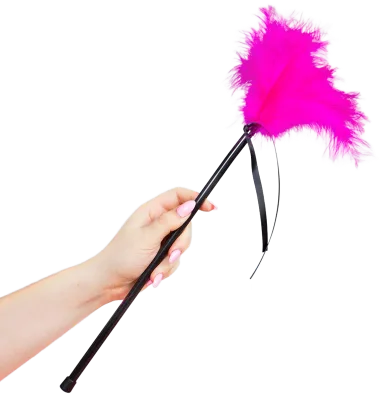 SECRETPLAY - PLUMERO PLUMAS ROSA 40 CM