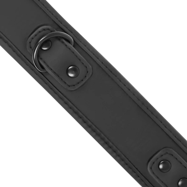 FETISH SUBMISSIVE - COLLAR CON CADENA CON FORRO DE NEOPRENO