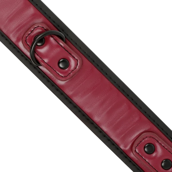 FETISH SUBMISSIVE DARK ROOM - COLLANA A CATENA CON FODERA IN NEOPRENE