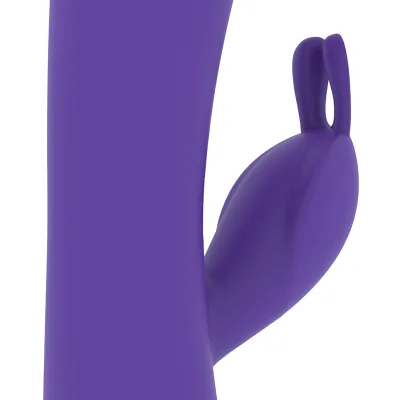 MR BOSS - AITOR RABBIT + MANDO CONTROL REMOTO WATCHME