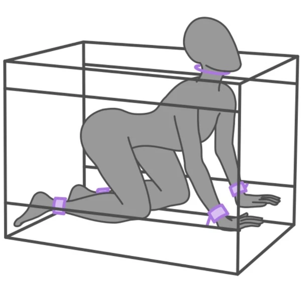 SECRET DOME - KINK CLUB LA NICHE CABINA  MORADO