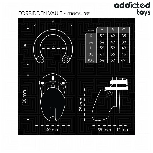 ADDICTED TOYS LOCKED - GABBIA PER PENE FORBIDDEN VAULT 10 CM