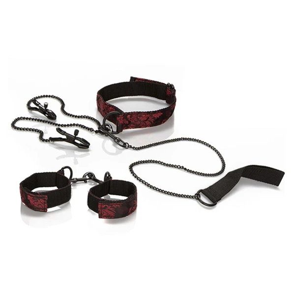 CALEXOTICS - SCANDAL KIT PER LA PRESENTAZIONE